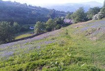 Bryn y Cwm Farm, Abergavenny, South Wales